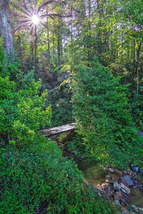 Shaw Creek Cottage With Fire Pit And Forest Views Гендерсонвілл Екстер'єр фото